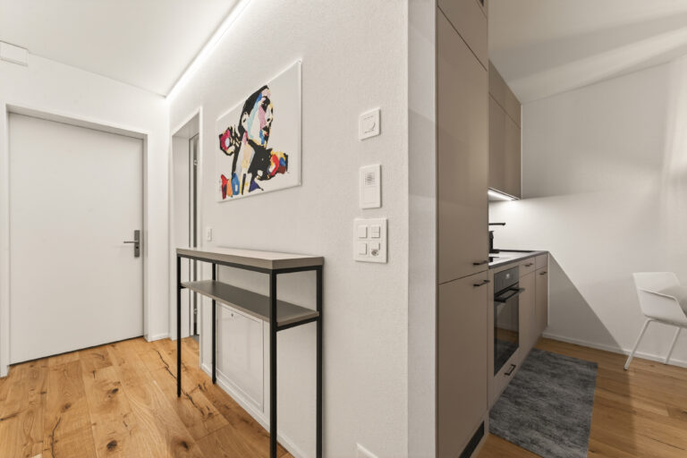 Serviced-apartment-luzern-loewengraben-eingang-33l-02