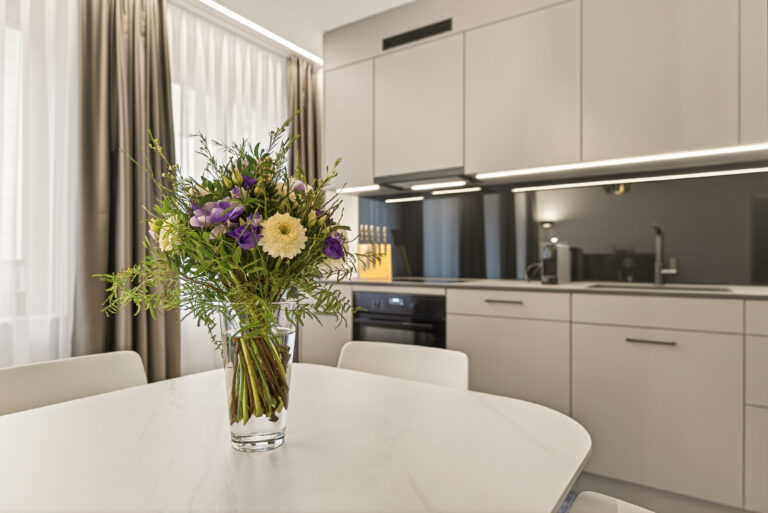Serviced-apartment-luzern-loewengraben-stimmung-24l